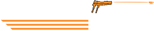 Online Gun Store